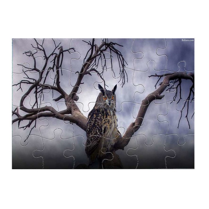 Bagoly 13711 puzzle 24 darabos