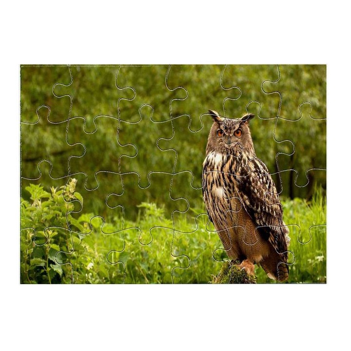 Пъзел Бухал 14411, 24 части