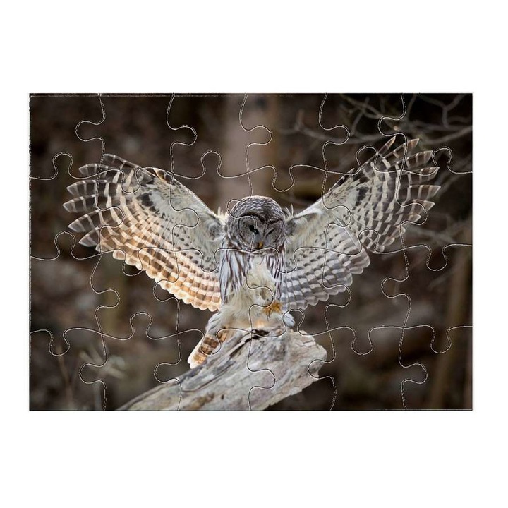 Пъзел Бухал 13811 24 части