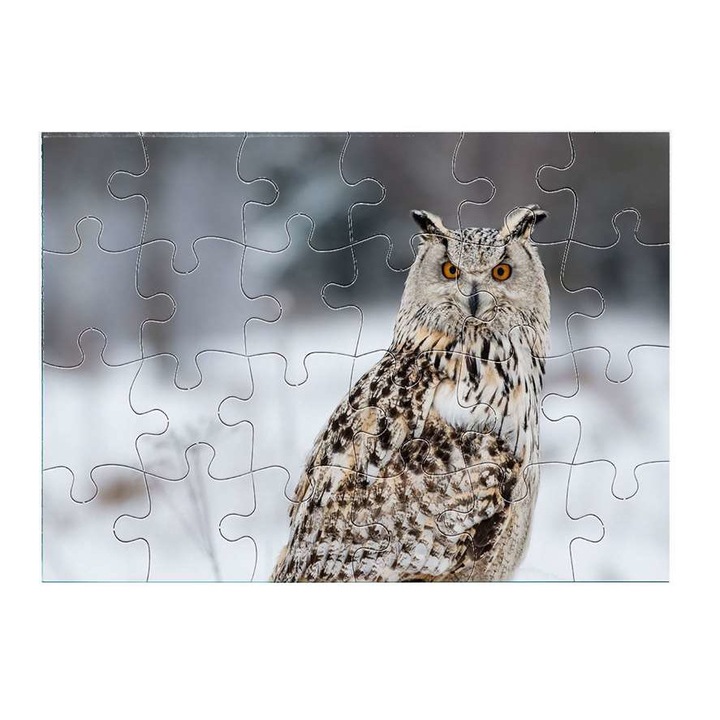 Bagoly 10411 puzzle 24 darabos