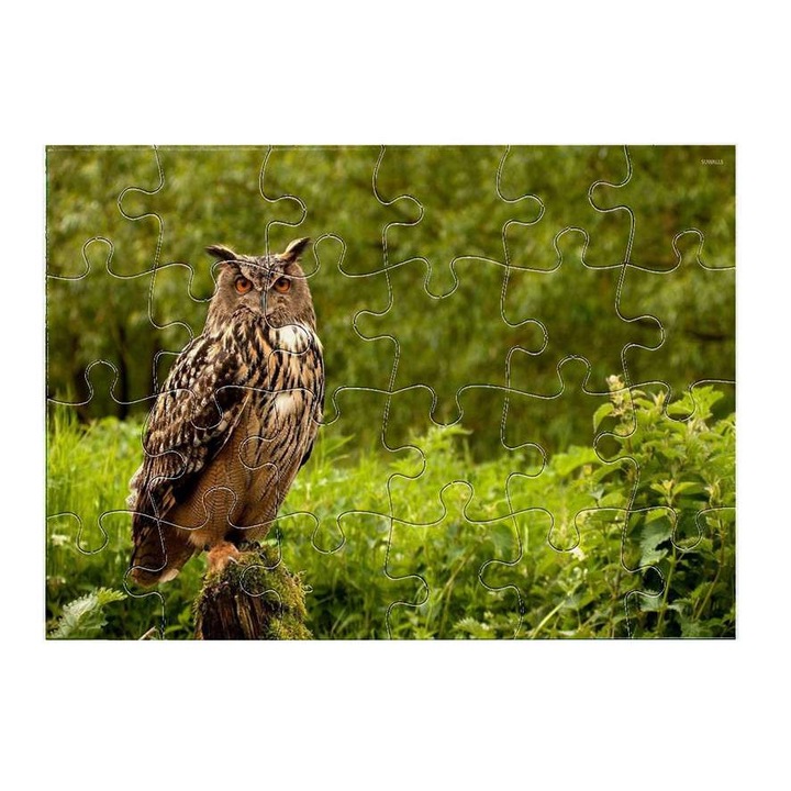 Пъзел Бухал 12311 24 части