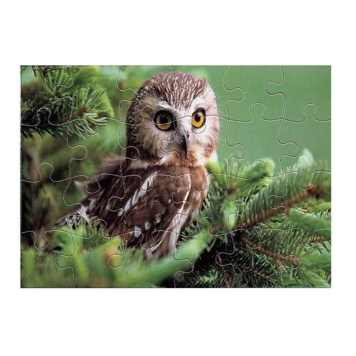 Пъзел Бухал 11211 24 части