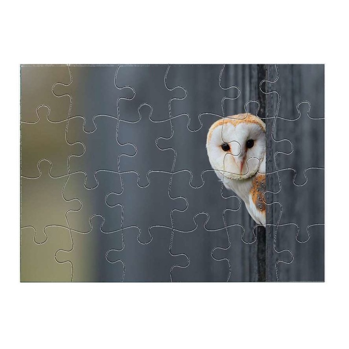 Пъзел Бухал 11011 24 части