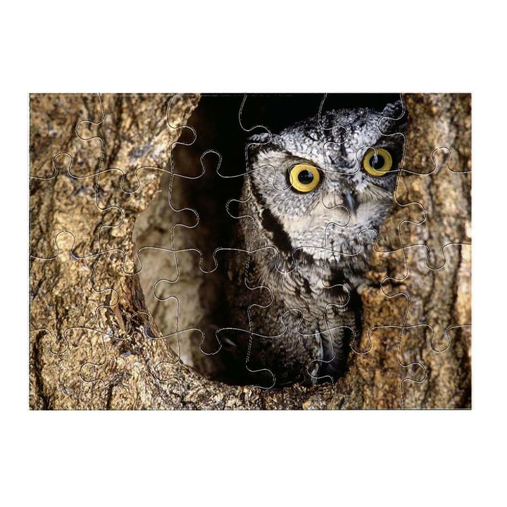 Пъзел Бухал 10811 24 части