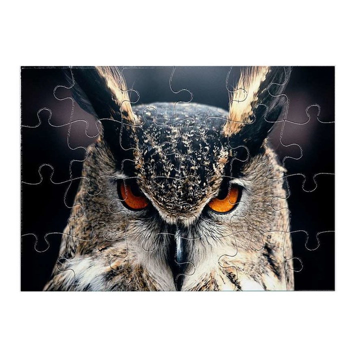 Пъзел Бухал 10911 24 части