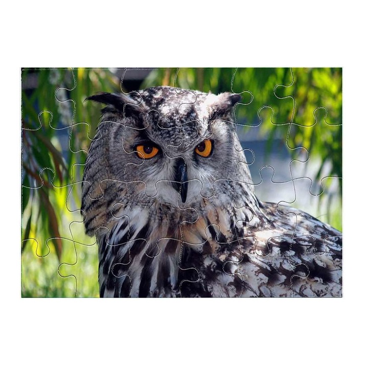 Пъзел Бухал 11611 24 части