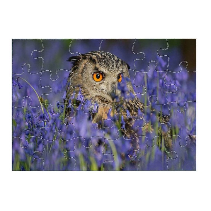 Bagoly 10311 puzzle 24 darabos