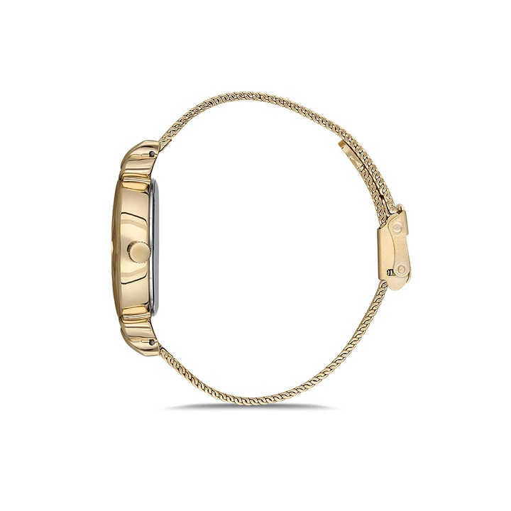 Ceas pentru dama Daniel Klein Trendy DK.1.12554.3