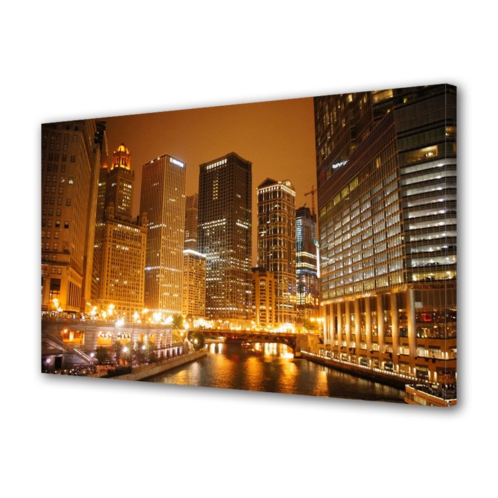 Tablou Canvas Raul din Chicago noaptea, 20 x 30 cm