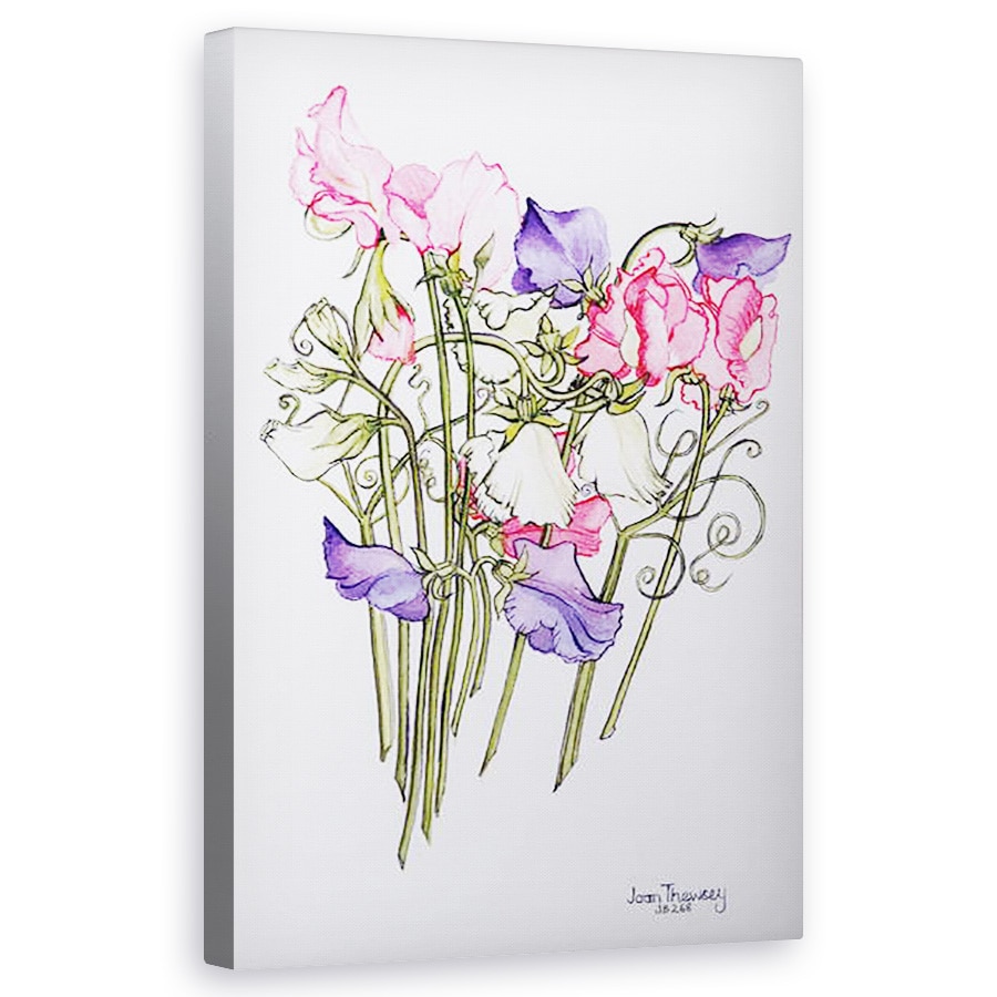 Tablou canvas - Joan Thewsey - Zece Mazare dulce cu Tendrils 2012 , 60 x 100 cm