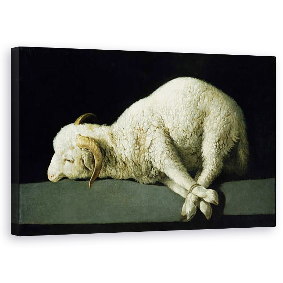 Tablou canvas - Francisco de Zurbaran - Agnus Dei, 50 x 80 cm