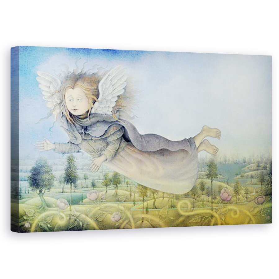 Tablou canvas - Wayne Anderson - Zana Zburatoare peste peisaj , 50 x 80 cm