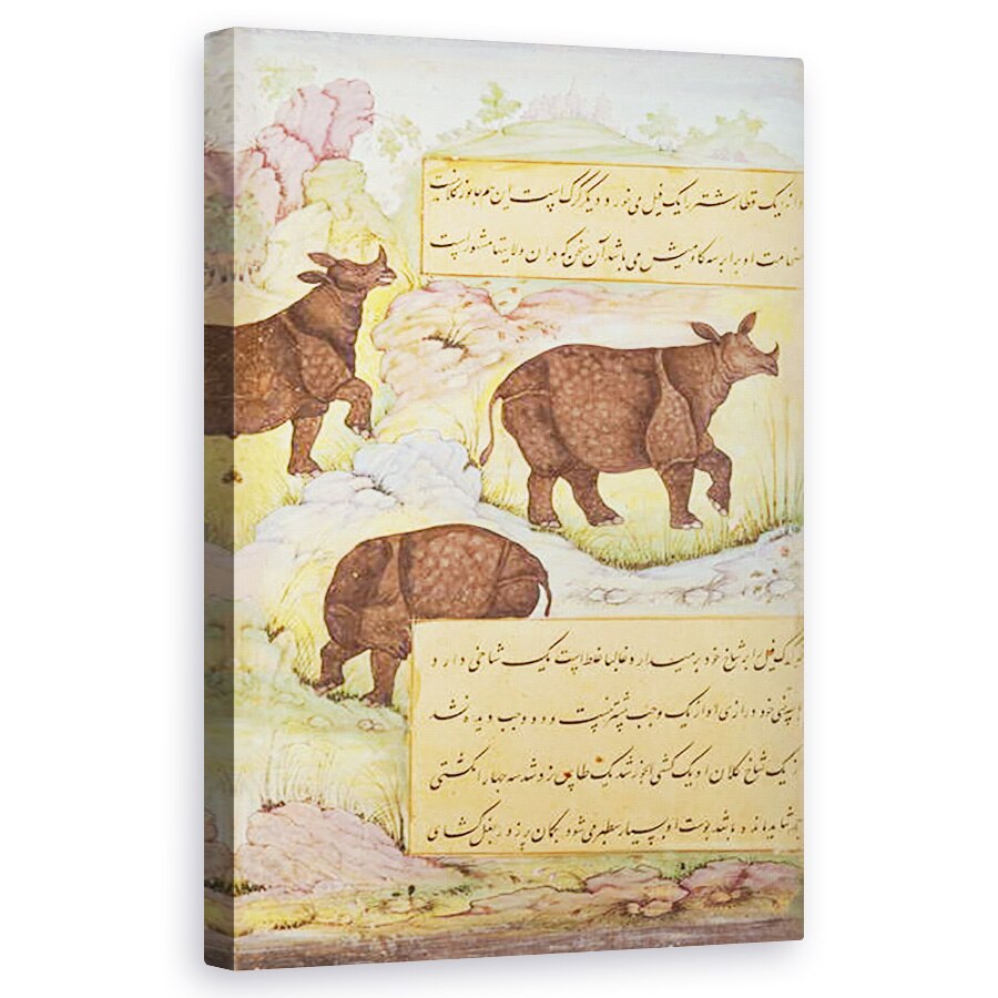 Tablou canvas - Scoala Mughal - Rhinoceros, 60 x 100 cm