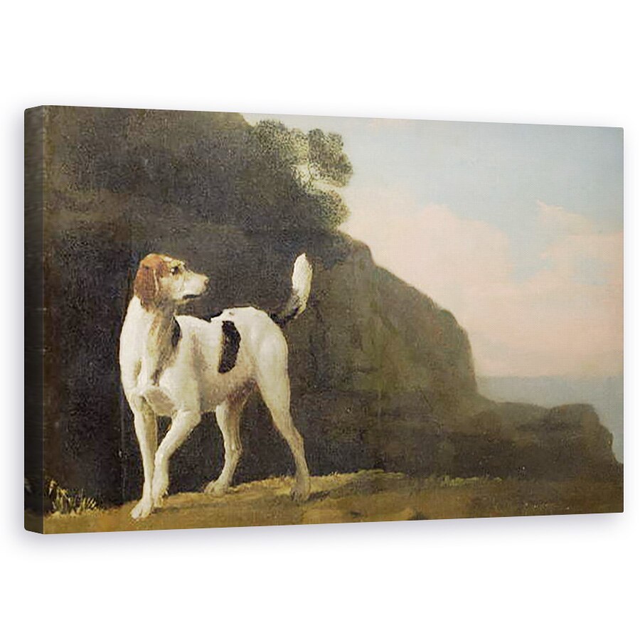 Tablou canvas - George Stubbs - Un Foxhound, 60 x 100 cm