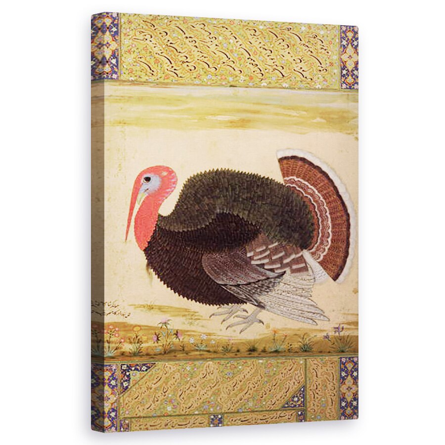 Tablou canvas - Mansur - Un cocos de curcan, adus la Jahangir de la Goa in 1612, de la Wantage Album, Mughal, 60 x 100 cm