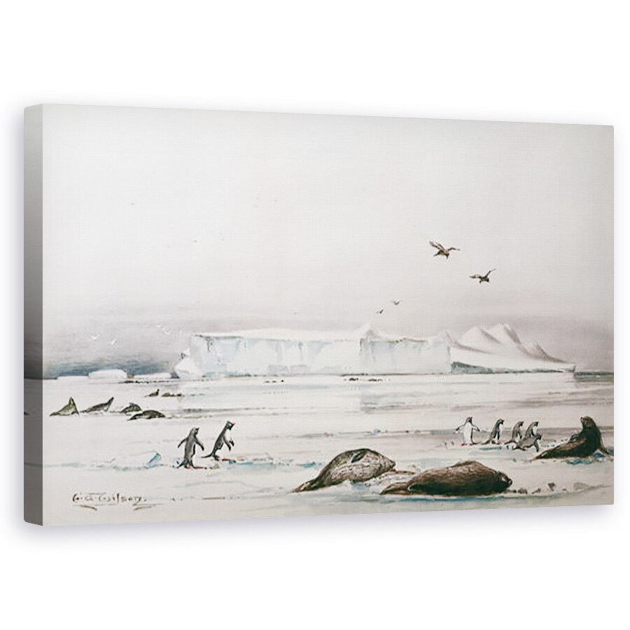Tablou canvas - Edward Adrian Wilson - Peisaj Antarctic , 50 x 80 cm