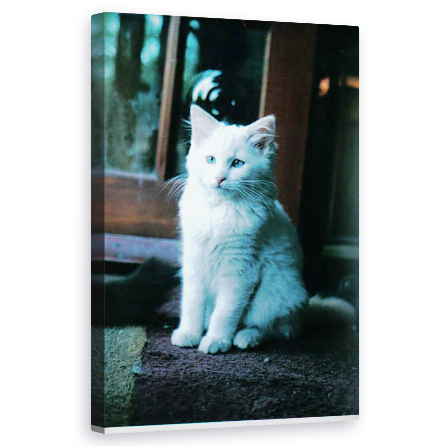 Tablou canvas - Vincent Alexander Booth - Pisoi de gheata, 2006, 50 x 80 cm