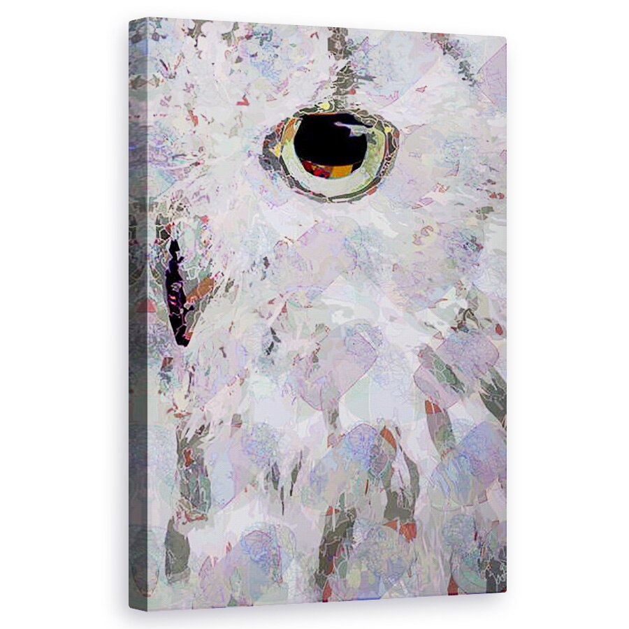 Tablou canvas - Scott J. Davis - Owl3 , 50 x 80 cm