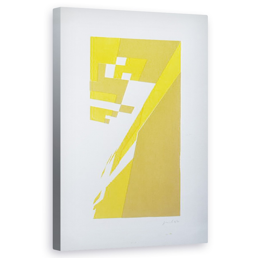 Tablou canvas - Guilherme Pontes - Deconstructie N°8, 50 x 80 cm