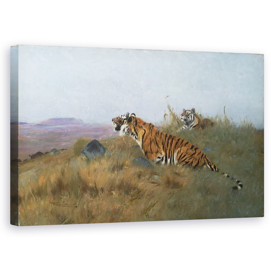 Tablou canvas - Wilhelm Kuhnert - Tigrii isi urmaresc prada , 50 x 80 cm