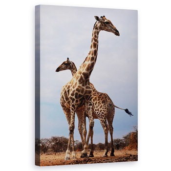 Tablou canvas - Eric Meyer - Traversat, 2019, 50 x 80 cm Tablou canvas - Eric Meyer - Traversat, 2019, 50 x 80 cm