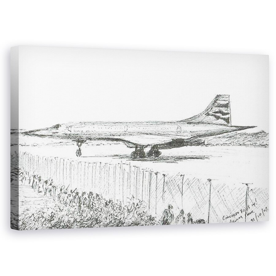 Tablou canvas - Vincent Alexander Booth - Ultima aterizare a lui Concord, 2003, 60 x 100 cm