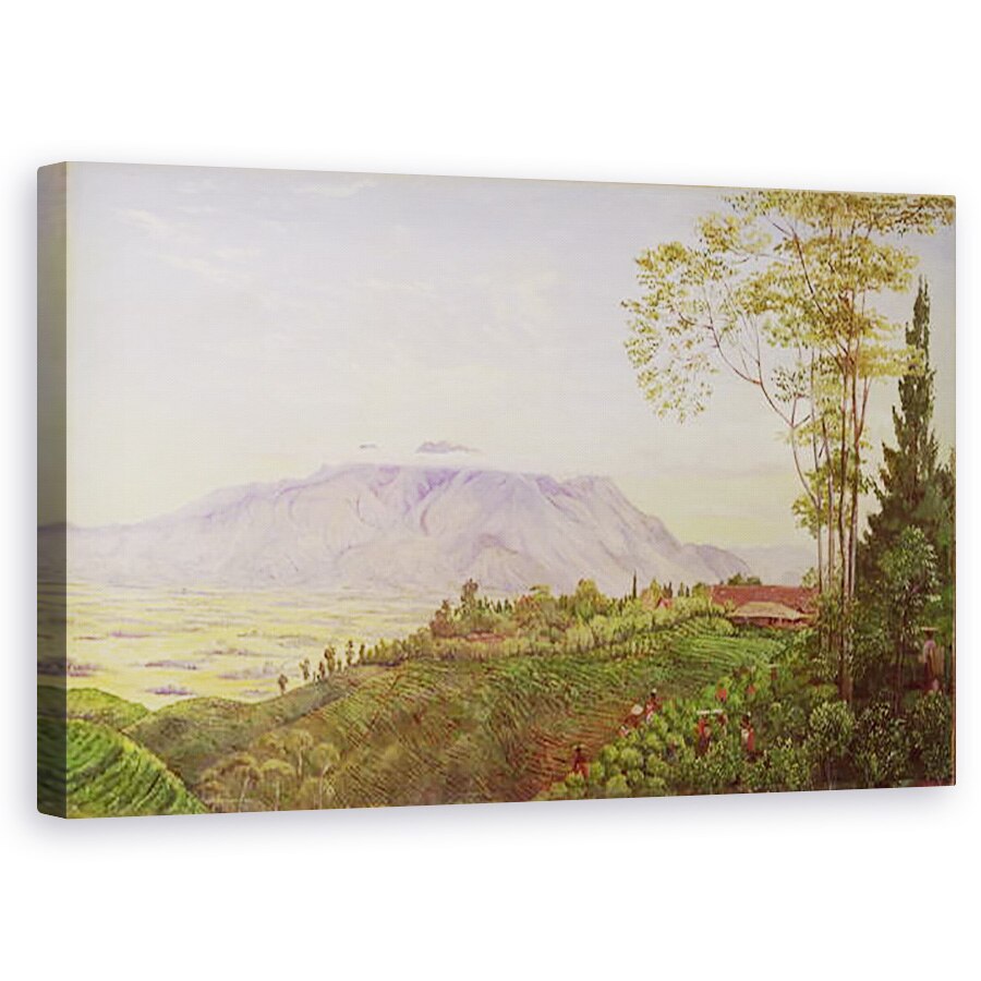 Tablou canvas - Marianne North - Colectarea ceaiului in plantatia domnului Hoelle de la Garoet, Java, 50 x 80 cm