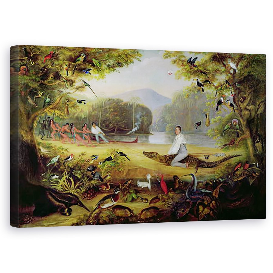 Tablou canvas - Captain Edward Jones - Charles Waterton capturarea unui Cayman, 60 x 100 cm