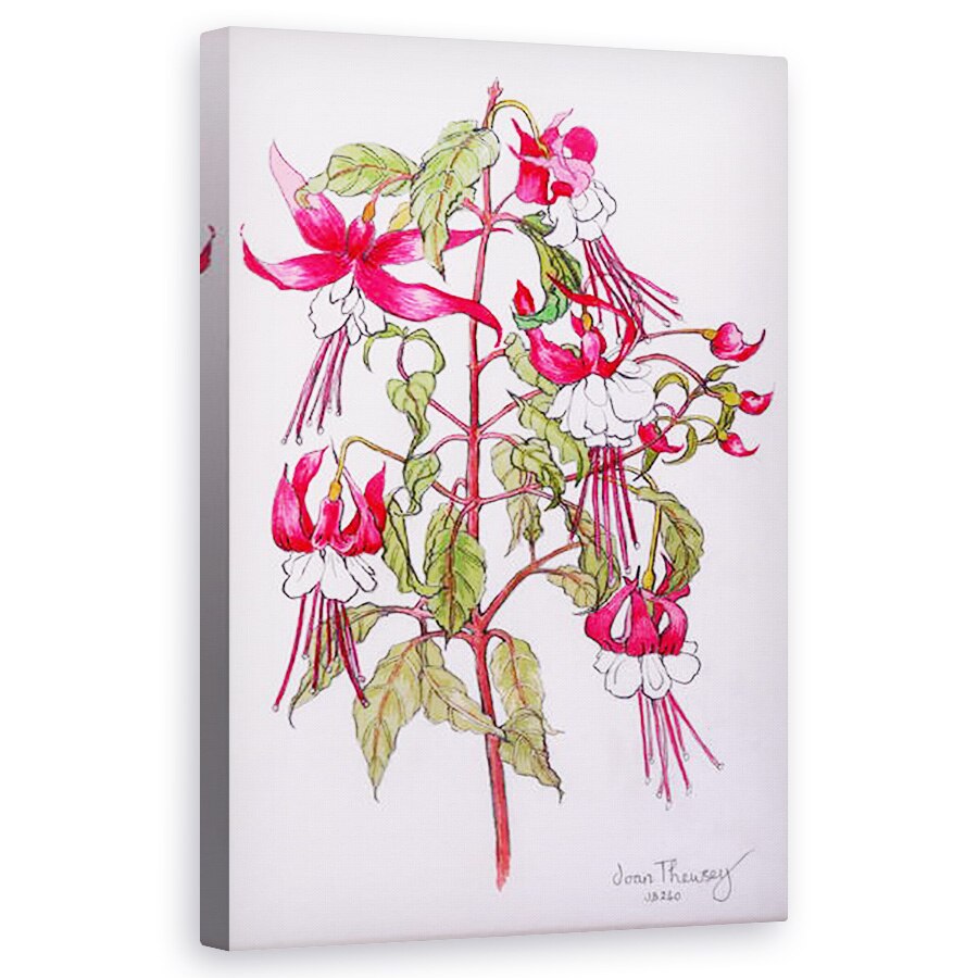 Tablou canvas - Joan Thewsey - Fuchsia, 2000, 50 x 80 cm