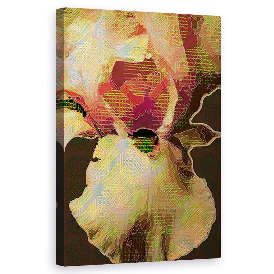 Tablou canvas - Scott J. Davis - Iris barbos, 50 x 80 cm