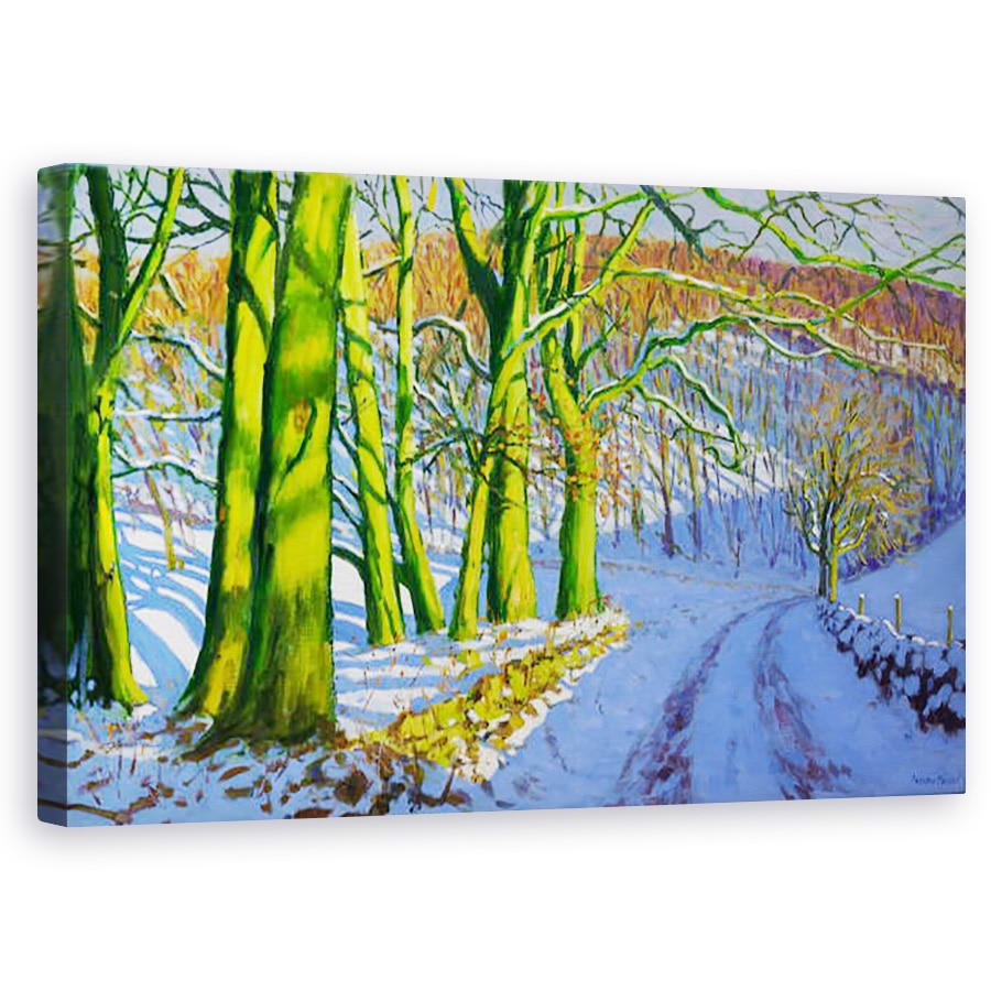 Tablou canvas - Andrew Macara - Copaci Verzi, Iarna, Lane Dam, Derbyshire, 50 x 80 cm