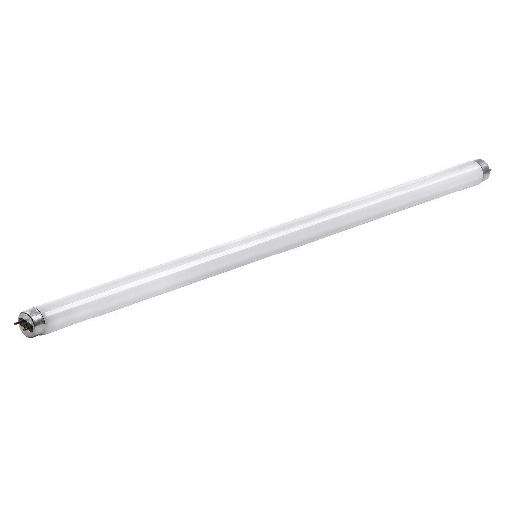 Tub Fluorescent T8 36W