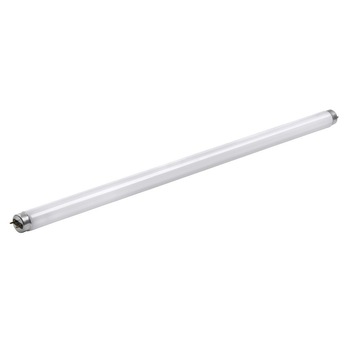 Tub Fluorescent T8 36W Tub Fluorescent T8 36W