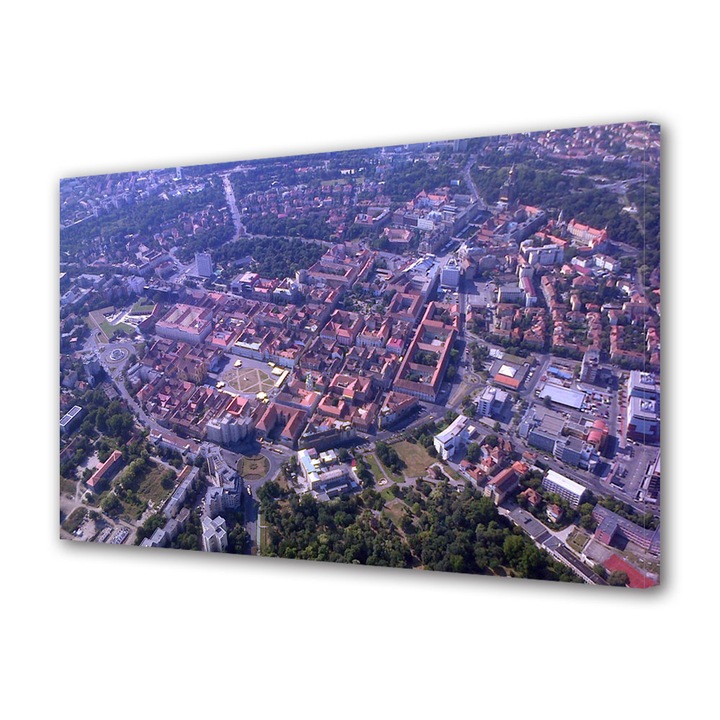 Tablou Canvas Timisoara de sus, 80 x 120 cm