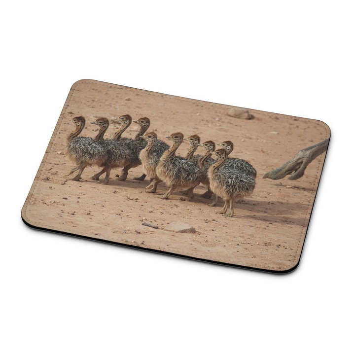 Mouse pad premium Ostrich 14122