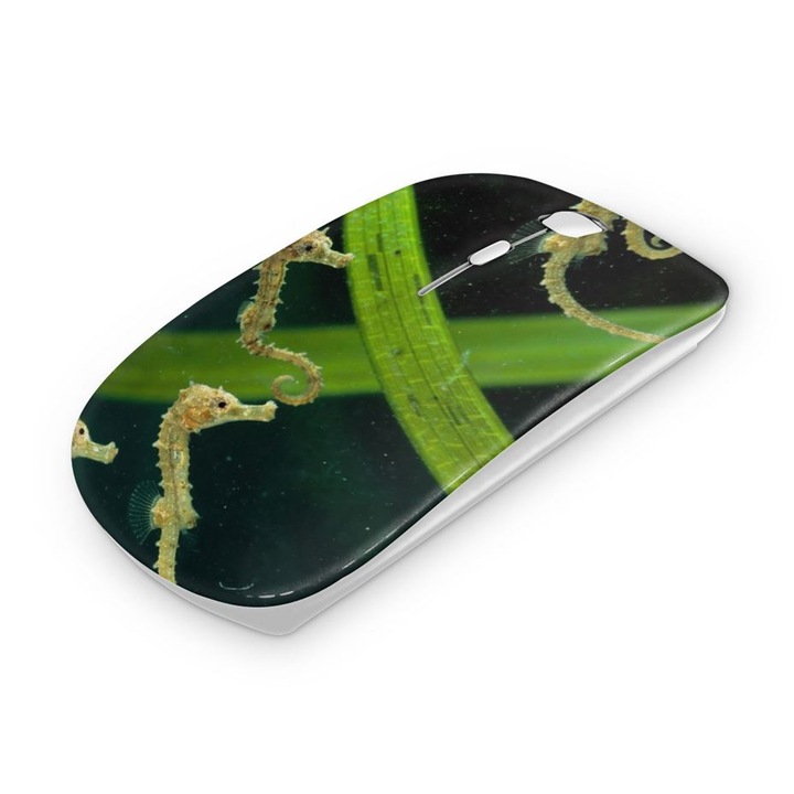 Mouse fara fir, Mobiltokguru, Seahorse 3822