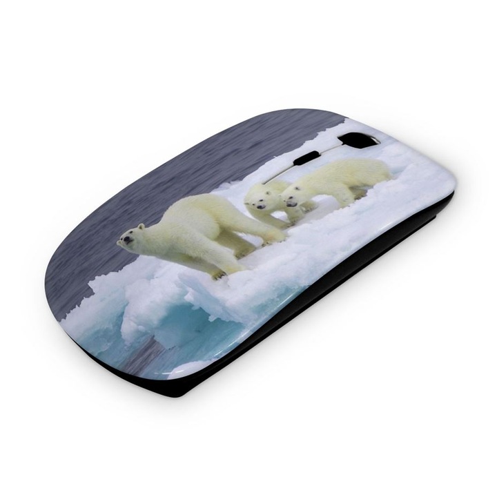 Mouse fara fir, Mobiltokguru, Urs polar 2211