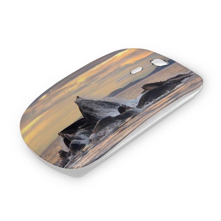 Mouse fara fir, Mobiltokguru, Orka 4022