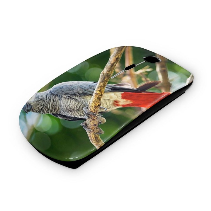 Mouse fara fir, Mobiltokguru, Parrot 2811