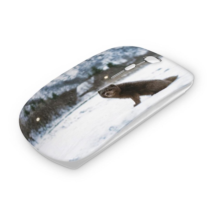 Mouse fara fir, Mobiltokguru, Arctic Fox 2422