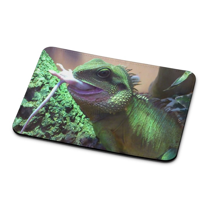 Mouse pad, Mobiltokguru, Dragon Lizard 1322