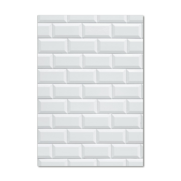 Tablou pe sticla, Tulup, Imagine imprimata sticla, Decorarea peretilor, ceramice de perete, 70x100 cm