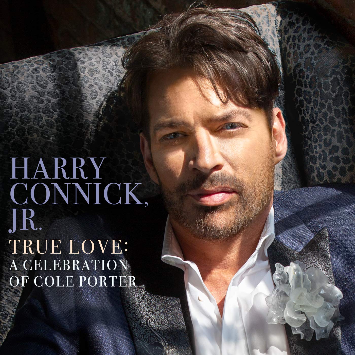 Harry Connick Jr.-True Love: A Celebration Of Cole Porter-2LP