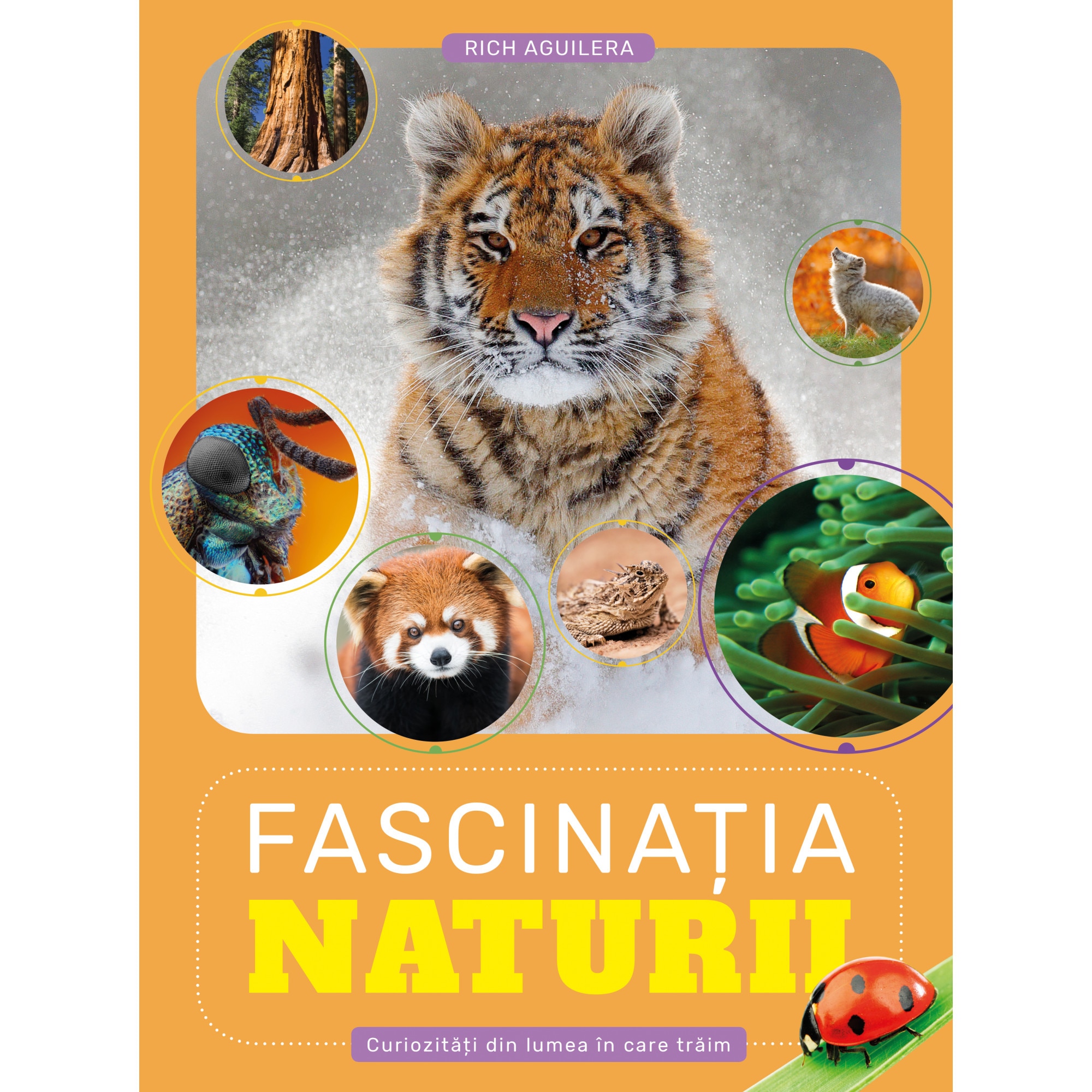 Fascinatia naturii - Rich Aguilera