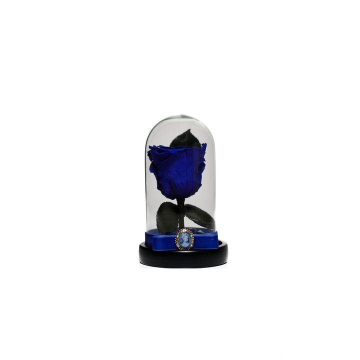 Trandafir criogenat in cupola de sticla 17 cm pe blat negru si brosa Camee, Albastru, Star Decor