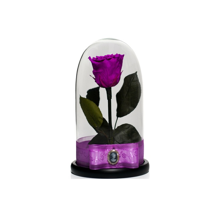 Trandafir criogenat in cupola de sticla 25 cm pe blat negru si brosa Camee, Mov, Star Decor