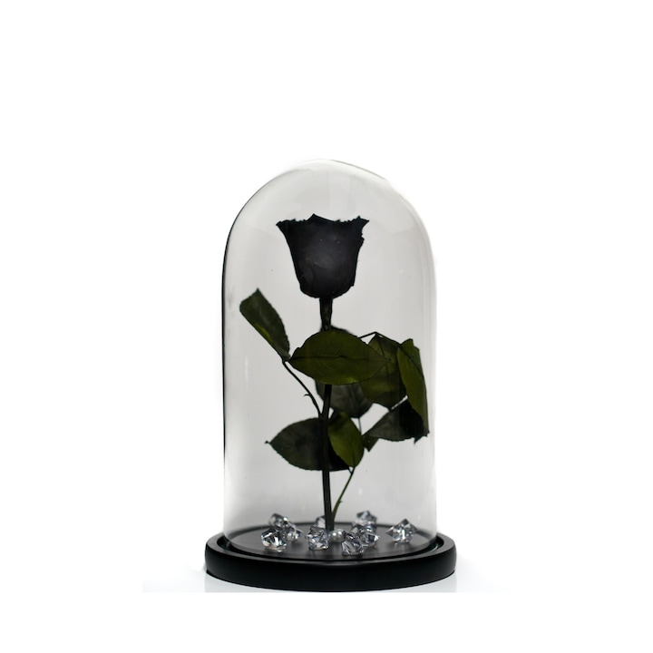 Trandafir criogenat in cupola de sticla 30 cm pe blat negru si brosa Camee, Negru, Star Decor