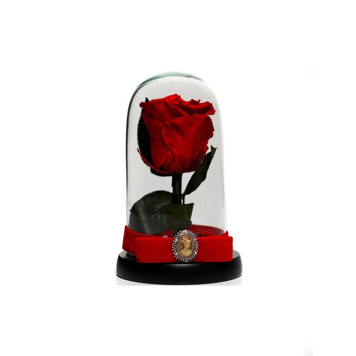 Trandafir criogenat in cupola de sticla 17 cm pe blat negru si brosa Camee, Rosu, Star Decor