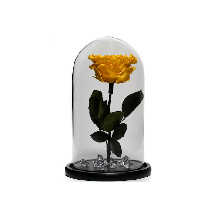 Trandafir criogenat XXL in cupola de sticla 30 cm pe blat negru, Galben, Star Decor