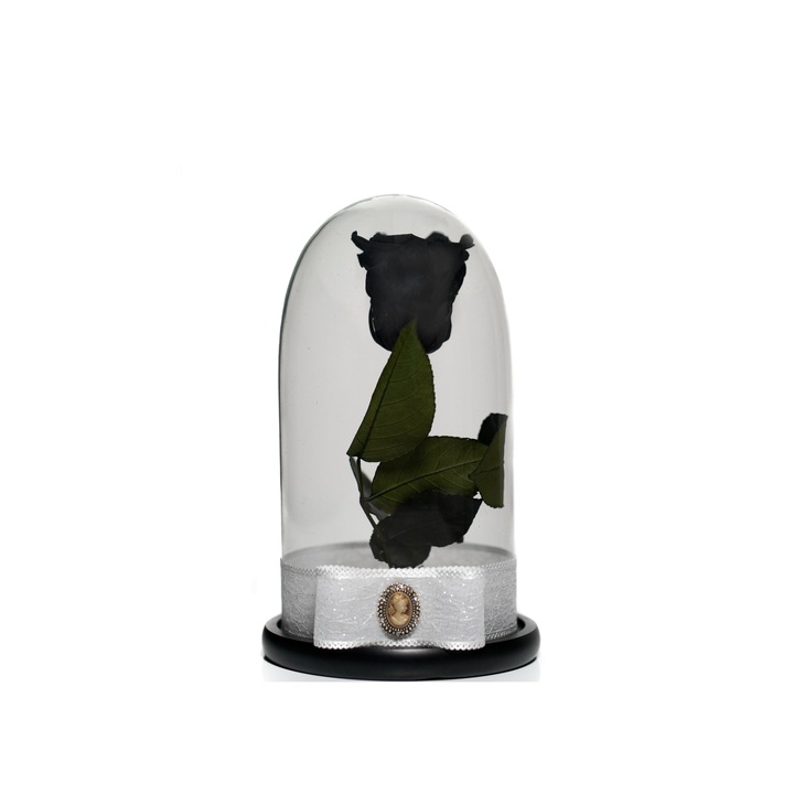Trandafir criogenat in cupola de sticla 25 cm pe blat negru si brosa Camee, Negru, Star Decor